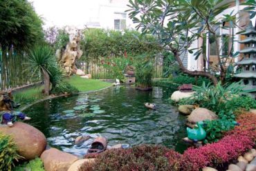 Về nhà, về với niềm vui!